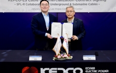 LS����-����, HVDC �ڻ���� �ý��� ���� ��� ��� ü��