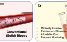 �Ǳ��� ������ ������, ��ü ���� ���̿���Ŀ ���� ��� ���� ���� ������ �м��� ����